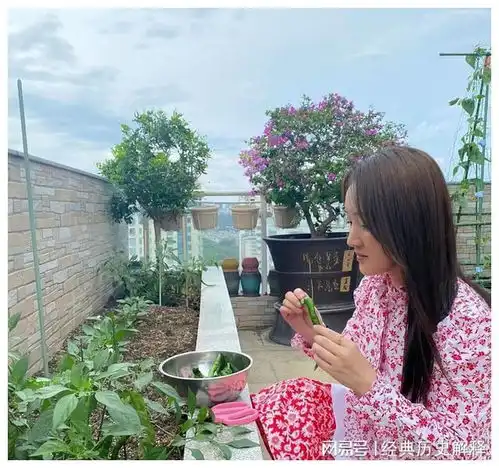  52岁的杨钰莹独居巨宅,与绿植相伴,狗狗为伴,温馨养心悠然快乐盛开宠物驯养动物华语音乐网易订阅