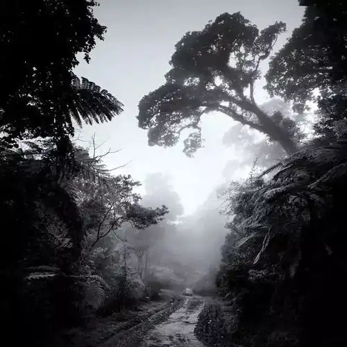  世界上最美的风景图片大全