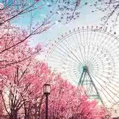 幸运草头像小清新图片竹