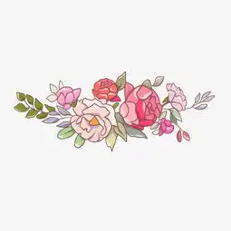  粉色红色花卉树叶夏季小清新植物插画图片素材其他格式下载动漫人物大全