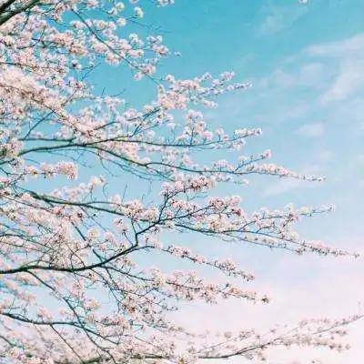  369互娱