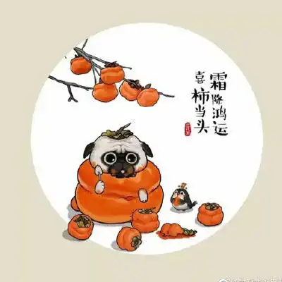  吾皇头像大全可爱吾皇猫无水印高清头像