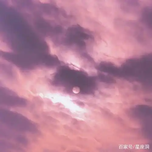  脾气特别倔,认定的事儿就一定要做的星座