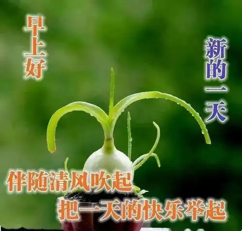  8张最美秋天风景早安图片带字带祝福语2021好看的秋日早上好问候祝福风景图片