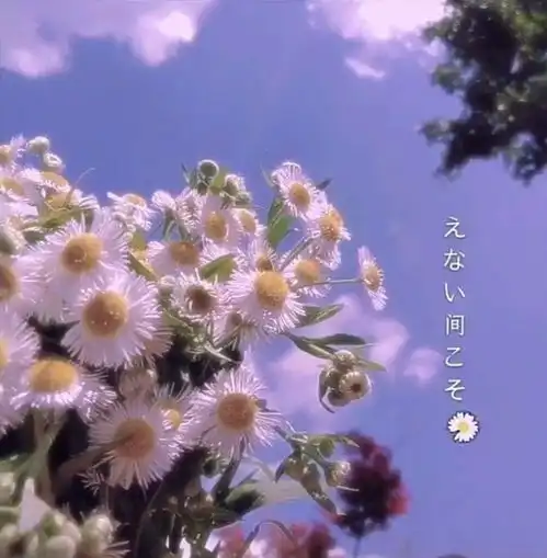  我的收藏夹