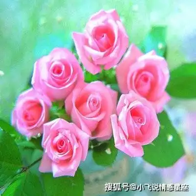  省吃俭用,舍不得花钱的三个生肖女,但是在孩子身上花钱从不心疼