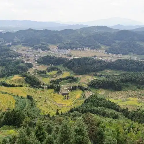  紫鹊界风景区门票,紫鹊界风景区游玩攻略360地图