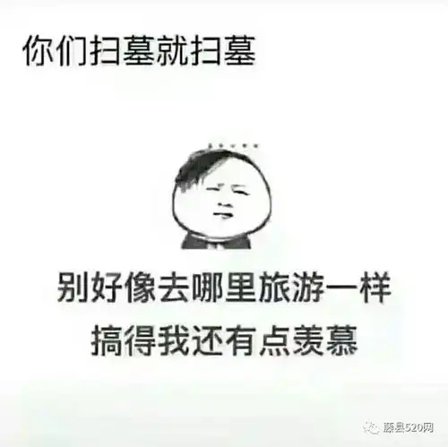  活脱脱的把清明节过成旅游节,让人怪羡慕的