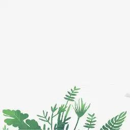  小清新绿色植物免抠图图片素材其他格式下载动漫人物大全