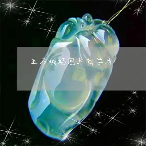  玉石蝙蝠图片初学者玉石蝙蝠图片初学者可以戴吗