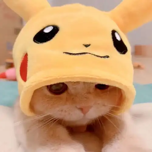 闺蜜双人头像猫咪情侣头