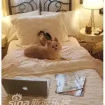  图片分享