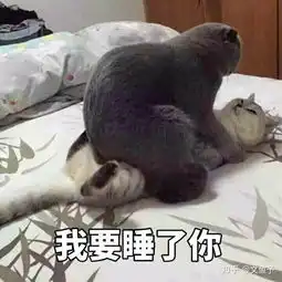  情侣间有哪些污污的表情包