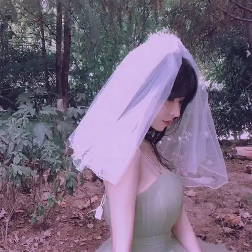  头纱头像