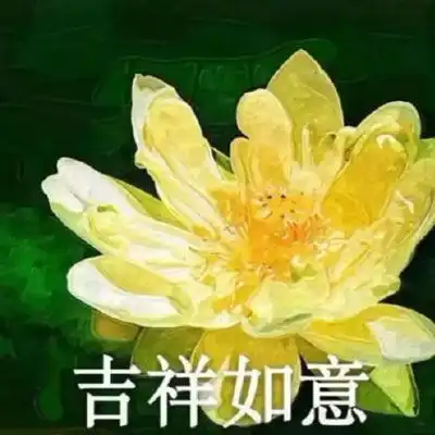  中老年人头像风景和花老年人专用微信头像