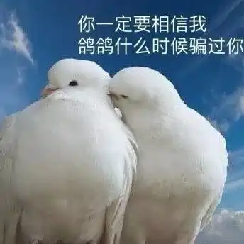 神经病闺蜜头像鸽子