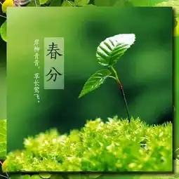 女人用的幸运花头像带字