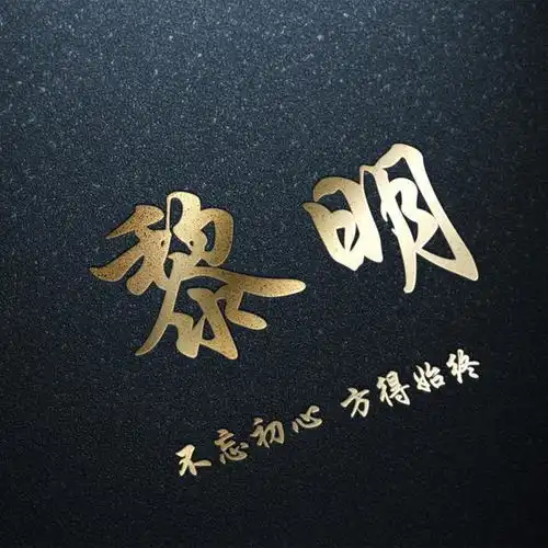  姓氏微信头像暗黑烫金姓氏头像,不忘初心方得始终,喜欢请带走