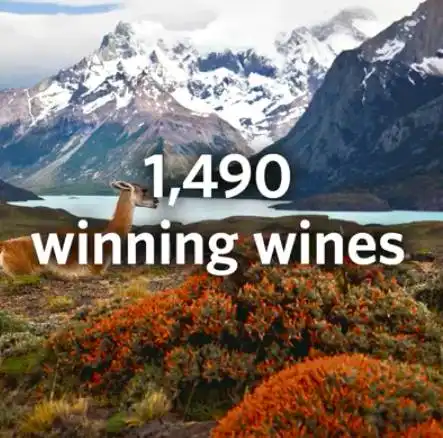  国际视眼柯诺苏荣获vivino2018年度最佳风格葡萄酒大奖