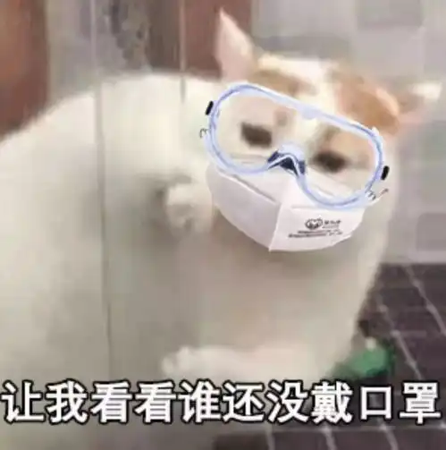 戴口罩头像 霸气疫情