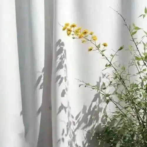  简约日常碎片的朋友圈文案