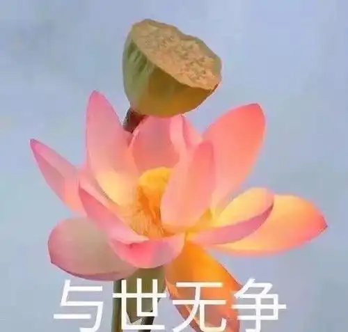 幸运草的头像带字图片可