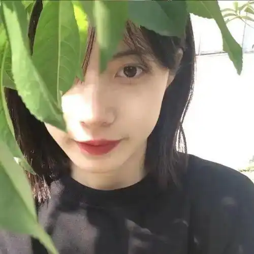  头像背景丨朝花夕拾尽是枯萎