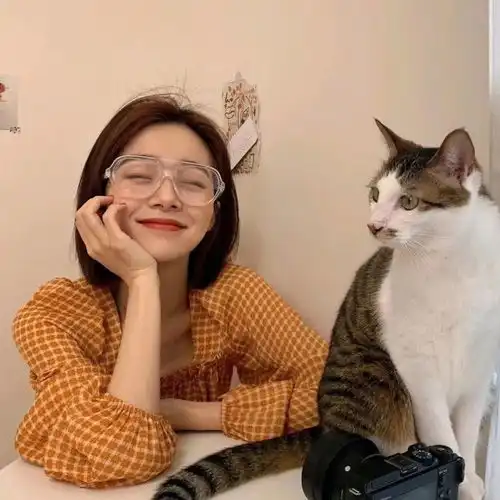 ins女生头像高级抱猫