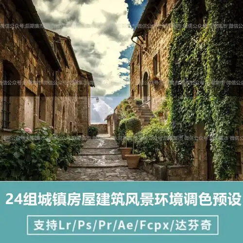  24组城镇房屋建筑风景环境luts调色预设fcpxprpsae达芬奇ofx