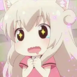  直觉