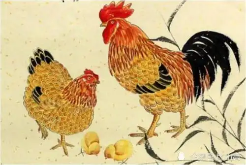  今年财运最佳的是属鸡人,7月及下半年运势如何家中有鸡速看