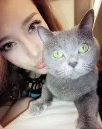 可爱猫咪头像女生霸气高