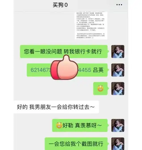  王思聪遇到真爱了,花4万5给对方买宠物狗,两人恋情已长达数月