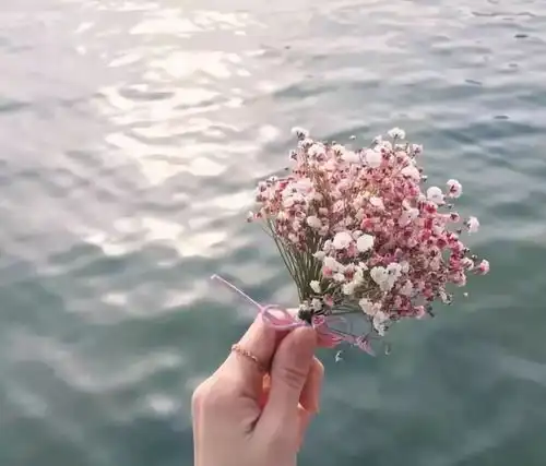  张韶涵我凭什么要原谅范玮琪