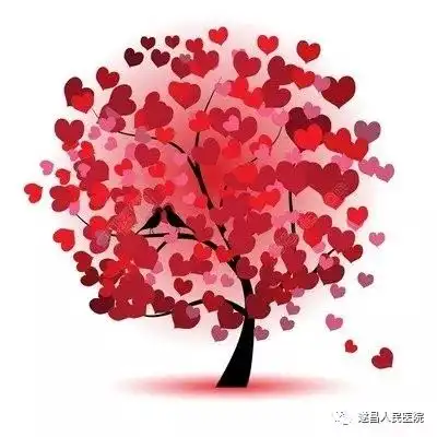  2019,这些温暖又治愈的瞬间,你被暖到了吗