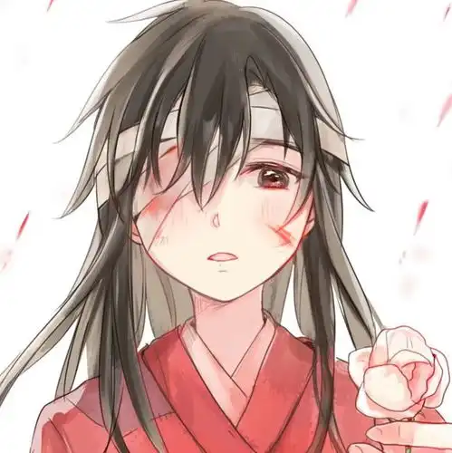  世中逢尔雨中逢花天官赐福情头花城谢怜动漫头像