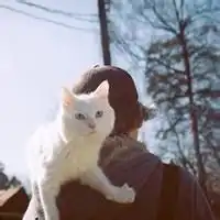  小孩抱猫头像黑白情侣微信头像图片大全