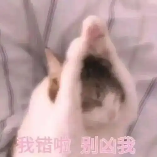  哄女朋友开心的表情包,低头认错