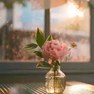  听见我爱你