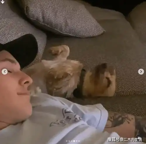  a妹结婚狂撒糖,和房屋中介的爱情,让无数粉丝哭晕在厕所