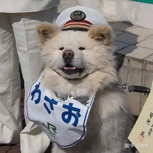  狗子头像可爱又憨憨的狗子头像奶凶奶凶可爱情侣狗子头像