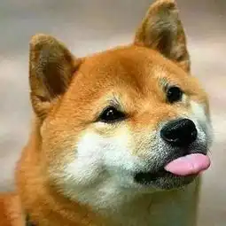  我是铃儿,你是叮当,铃儿想叮当娱乐频道
