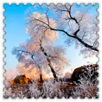  唯美冰雪世界qq头像图片,这些漂亮美景只有在冬天才能看到