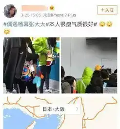  杨幂诈捐风波后跟张大大同游日本,两人背同款情侣包亮了