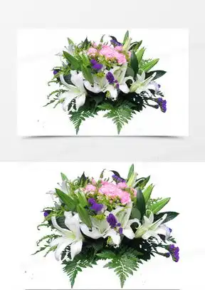  百合花图像微信头像大全