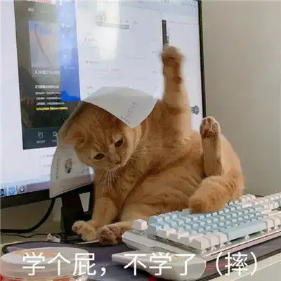  沙雕爆笑的一组可爱表情包