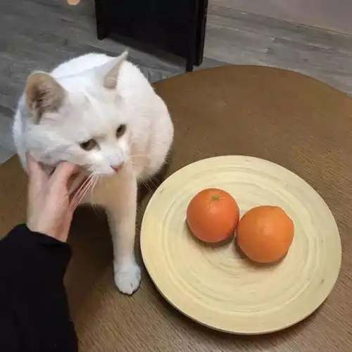  一组文艺背景图