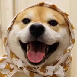 夫妻专用一人一半头像黑