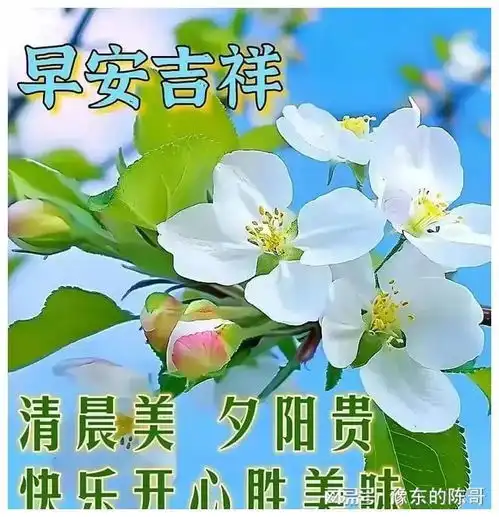  成长是逐渐温柔内敛简单,不抱怨不问不记