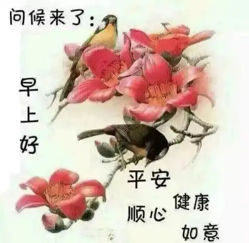  唯美早安心语短句早安说说简短的正能量语录